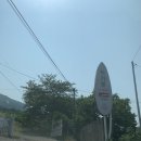 티가렛바이지노 이미지