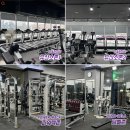 1981골프앤휘트니스 이미지