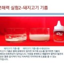 규소 Daum카페