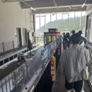 청사포정거장 | 부산여행 필수 코스! 인생샷 왕창 찍을 수 있는 해변열차 해운대블루라인 청사포정거장 예약 탑승 후기