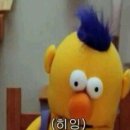 밤새 - 보령시 | 밤새