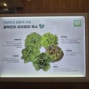 센텀IS타워(센텀아이에스타워) | 부산 APEC 나루공원 센텀샌드위치 맛집 샐픽 해운대 센텀점 후기 및 주차정보