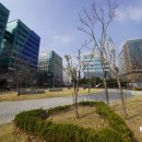 머스트부동산공인중개사사무소 이미지