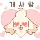 패밀리독 이미지