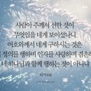 주 미가 이미지