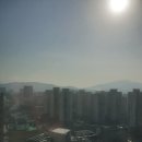 알짜배기 공인중개사사무소 이미지