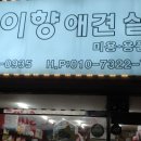 가을애견미용실 이미지