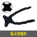 곧은 이미지