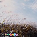 금강갈비 이미지