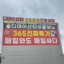 애견마트 | 경기 디데이산타 아울렛 화성점 애견동반 가능 내돈내산 방문 후기 창고형 대형마트 저렴한 제품