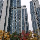(주)성동개발 - 군위군 | (주)성동개발