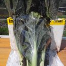 당골농장 이미지