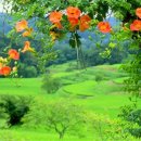 물흐르듯 이미지