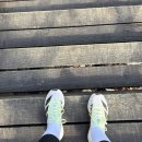 스피드 | 아디다스 아그라빅 스피드 울트라 2 솔직 후기 트레일러닝화 추천