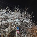 증산세탁소 | 24년 4월 일상 : 도파민 폭발