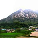 화지 1리 이미지