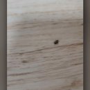 (주)동해물산 이미지