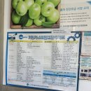 금호타이어동홍