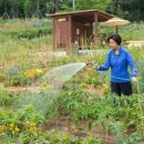 양천도시농업공원 이미지