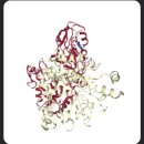 바이오파이썬으로 코로나 바이러스 단백질 분석하기 이미지