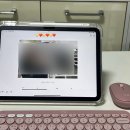 11-C | 아이패드 11세대 실버 애플펜슬 USB - C 5개월 실사용 후기 (+ 로지텍 무선 키보드 마우스)