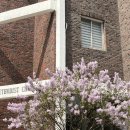 동광로3길 103 이미지