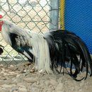 준호농장 이미지