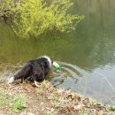 기쁨농장 이미지