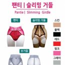 브리스건강기능성속옷 이미지
