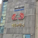 힐링여행 | 제주도 서귀포 힐링여행 후기 [쇠소깍, 주상절리대, 성산봉유채꽃]