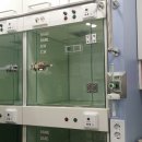 그림책 읽어주는 동물병원 이미지