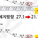 헬로바디 피트니스 이미지