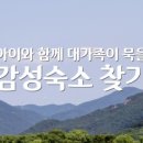 스테이다정다감 이미지
