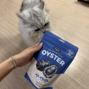 간식타이밍 | 트러스티푸드 동결건조 굴 간식 반려동물 해산물 간식 저속노화 간식 후기 & 추천