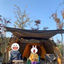 라성관광농원 이미지