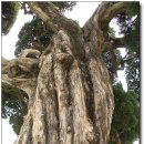 산포초등학교 이미지