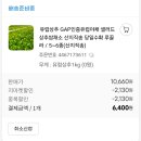 [26.07.10 금] 월급날,냉감바디필로우,유러피안샐러드,다이소쇼핑,택배깡,길냥이,퇴근후수영
