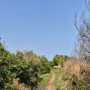 서포시장 | 뱅듸길에 반하다. 올레 20코스