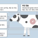 영훈축산 이미지