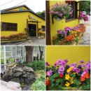 왕쭈꾸미 이미지