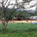 거시기 감자탕 이미지