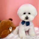 우프루프 이미지