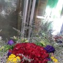 백송이꽃화원 이미지