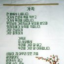 천주교반포4동교회 Daum카페