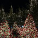 모에누베이커리 이미지