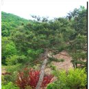 벌곡(논산) 이미지