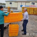 표선농업협동조합 농산물산지유통센터 이미지