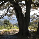 함양산촌 이미지