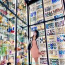디자인 플라자 구찌 가든 아키타이프 : 절대적 전형 무료전시와 라이트 스페이스 모네의 정원 (ddp 야경 )