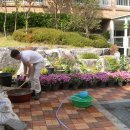 국화아파트(501동) 이미지